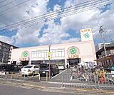 ライフ 西京極店まで20m