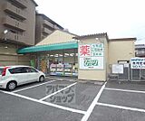 ドラッグひかり 嵯峨店まで400m
