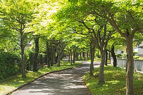 UR奈良青山一丁目  ｜ 奈良県奈良市青山1丁目（賃貸マンション4DK・2階・79.55㎡） その3