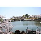 公園「中山田池公園まで1400ｍ」
