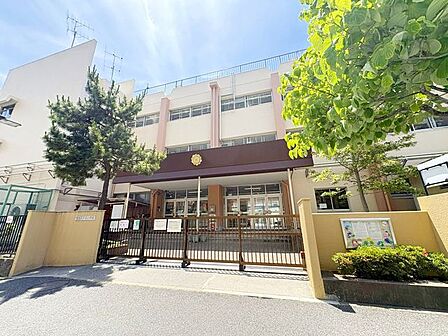 葛飾区立花の木小学校 徒歩1分。 70m