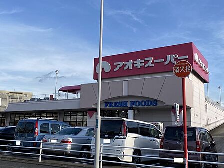 アオキスーパー八田店まで 260m 徒歩約4分 営業時間:9時~20時 スマホ決済可能 資源ごみ回収サービスあり