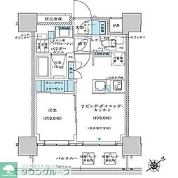 プレミスト板橋 10階1LDKの間取り
