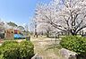 周辺：城山公園