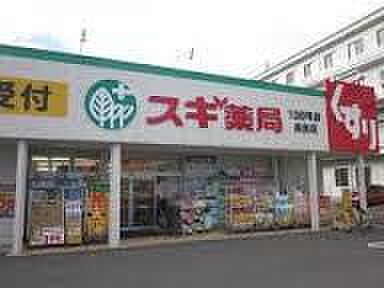 画像17:スギ薬局 長良町店（885m）