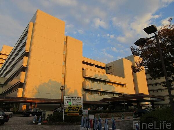 画像28:神戸大学医学部附属病院 779m