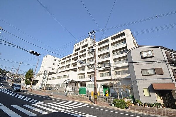 画像29:神戸徳洲会病院 2436m