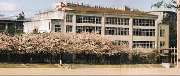 画像23:垂水中学校 1990m