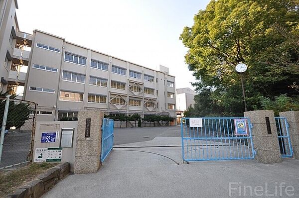 画像29:神戸市立垂水中学校 2442m