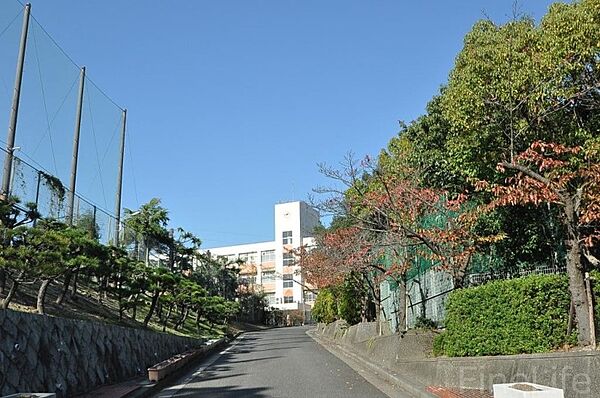 画像29:神戸市立横尾中学校 1212m