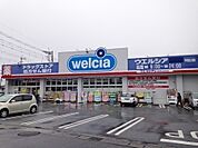 ウエルシア甲府富士見店430m