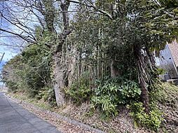 成田市大竹　売地 全1区画