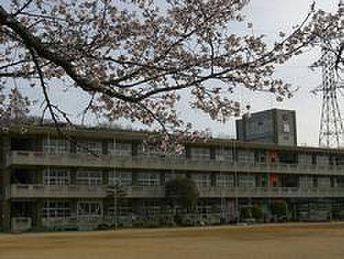 画像27:平田小学校
