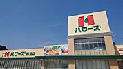ハローズ砥堀店