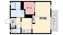 グリーンロード上中 2階/-