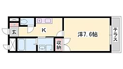 メゾンエルシオン 1階/-
