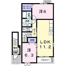 花水木