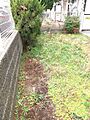 専用庭は開放感...