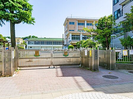 横浜市立三ツ沢小学校 780m