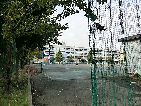 横浜市立大綱小...