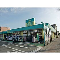 静岡県浜松市中央区向宿3丁目（賃貸マンション3LDK・1階・66.15㎡） その29