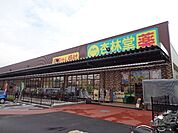 杏林堂薬局新津店 455m