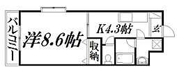 バス 遠鉄バス飯田下車 徒歩12分 3階/-