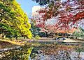 小石川後楽園 ...
