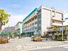 周辺：市川市立南行徳中学校 1520m