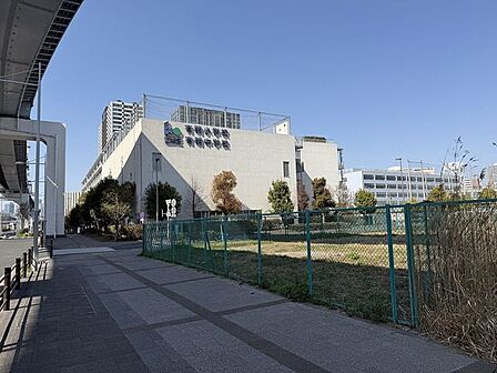 区立有明小学校、中学校 500m