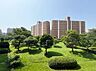 その他：「眺望」緑に囲まれ、自然を感じることのできる穏やかな住戸です。日々の喧騒を忘れ、落ち着いたひと時をお過ごしください。