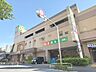 周辺：ライフ南千住店まで約500ｍ