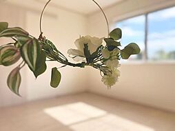 室内の画像
