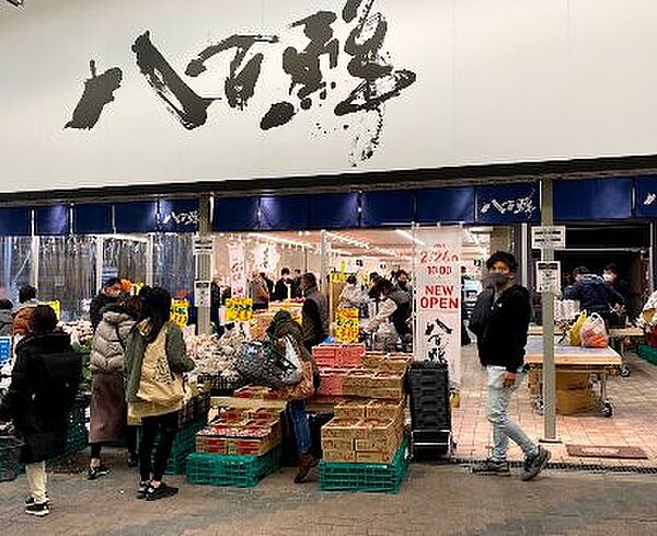 画像23:【スーパー】八百鮮　空堀店まで296ｍ