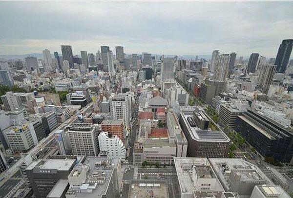 ブランズタワー御堂筋本町 3604｜大阪府大阪市中央区南本町4丁目(賃貸マンション2LDK・36階・117.12㎡)の写真 その11