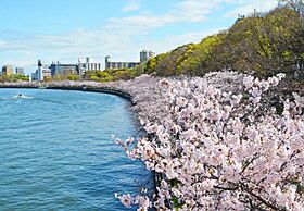 ザ・パークハビオ天満橋 1101 ｜ 大阪府大阪市北区天満橋1丁目6番地14号（賃貸マンション1LDK・11階・45.66㎡） その25