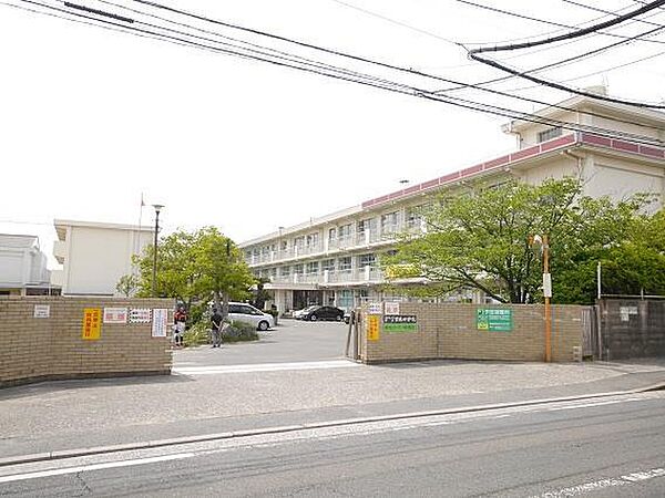 画像16:曽根中学校(600m)