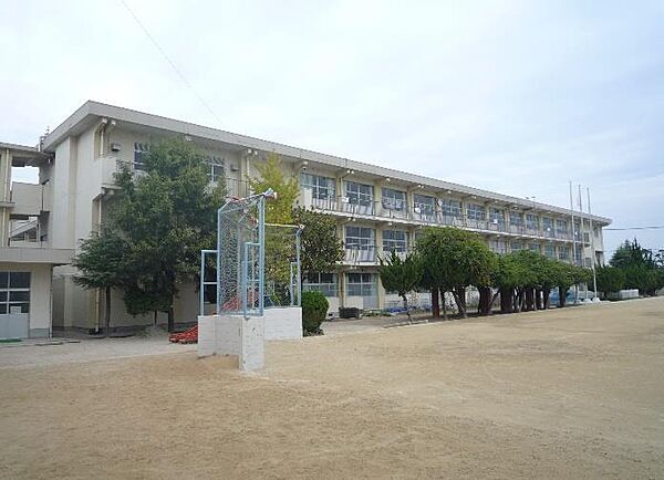 画像15:曽根小学校(770m)