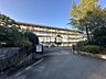 周辺：玉川小学校 