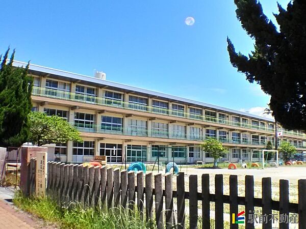 画像24:中友小学校 