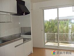 フィロンドールB 101