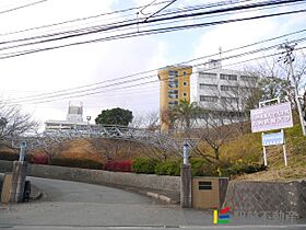 クレジデンス基山 105 ｜ 佐賀県三養基郡基山町大字小倉1626-1（賃貸アパート1LDK・1階・36.00㎡） その29