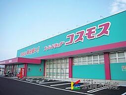 コスモス　鳥栖市今泉店
