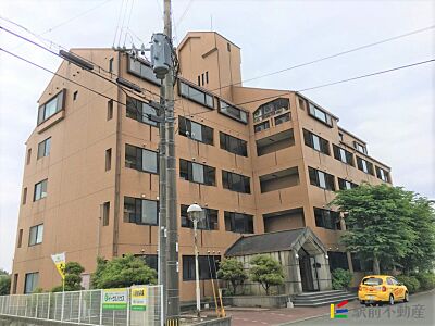 外観:外観 外観:外観