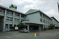 県立鳥栖高等学校