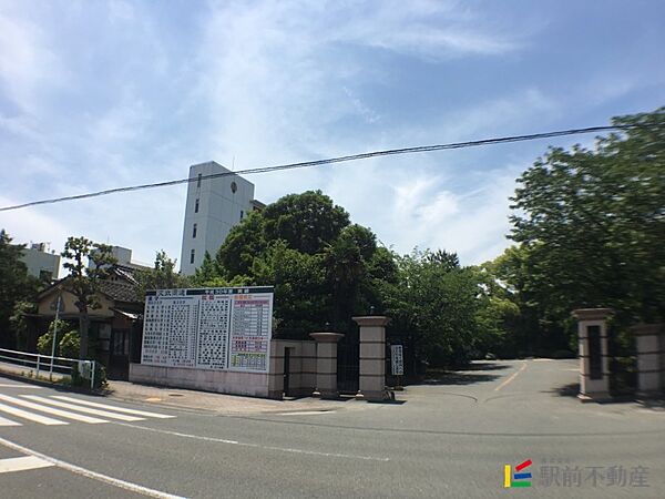 画像23:柳川高等学校 