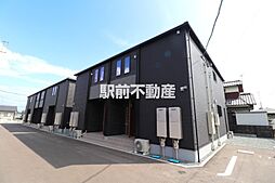 マゼンタ　ローズ