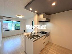 グラン　フェリシアII 205