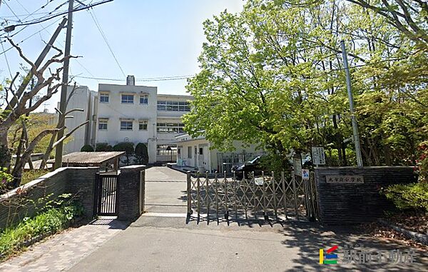 画像11:太宰府小学校 