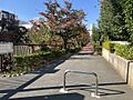 目黒川緑道沿い...